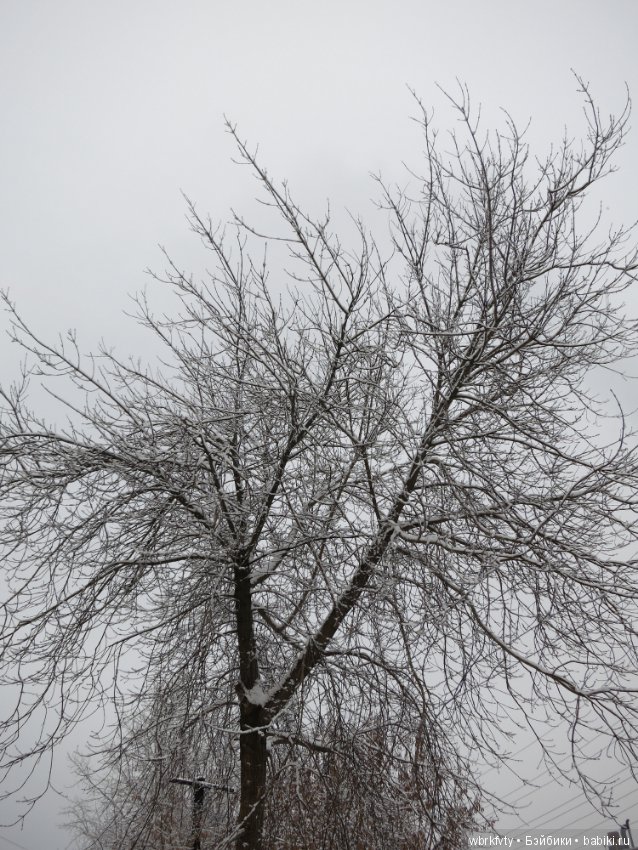Зимняя сказка — Болталка и разговоры обо всем: жизнь (фото 4)