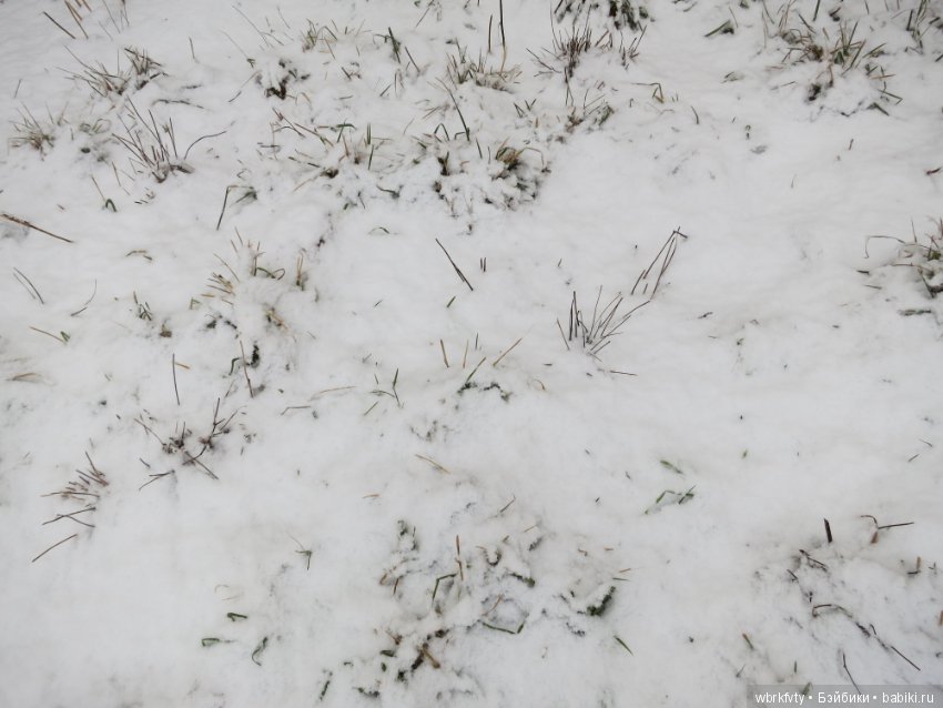 Зимняя сказка — Болталка и разговоры обо всем: жизнь (фото 5)