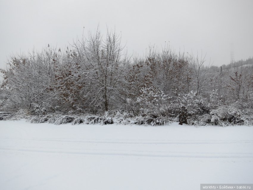 Зимняя сказка — Болталка и разговоры обо всем: жизнь (фото 8)