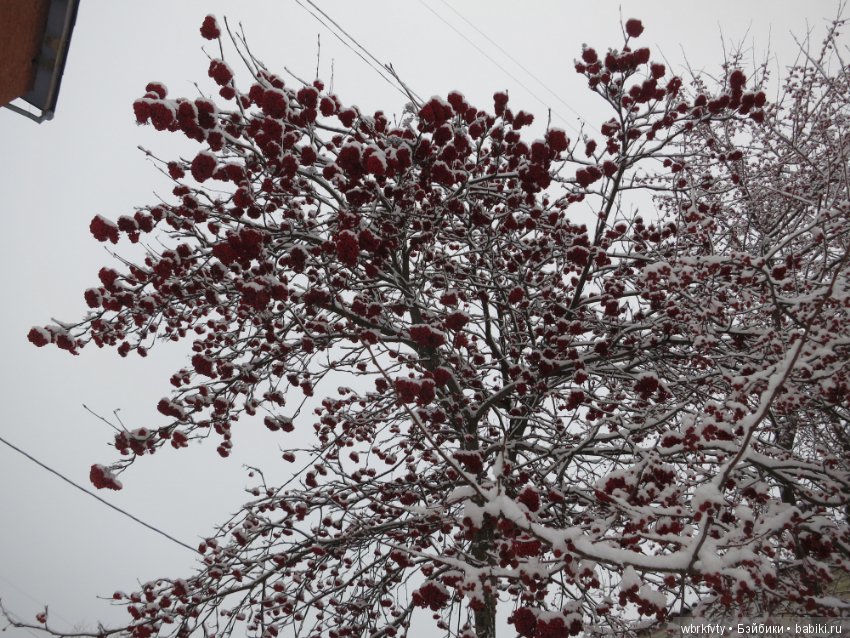 Зимняя сказка — Болталка и разговоры обо всем: жизнь