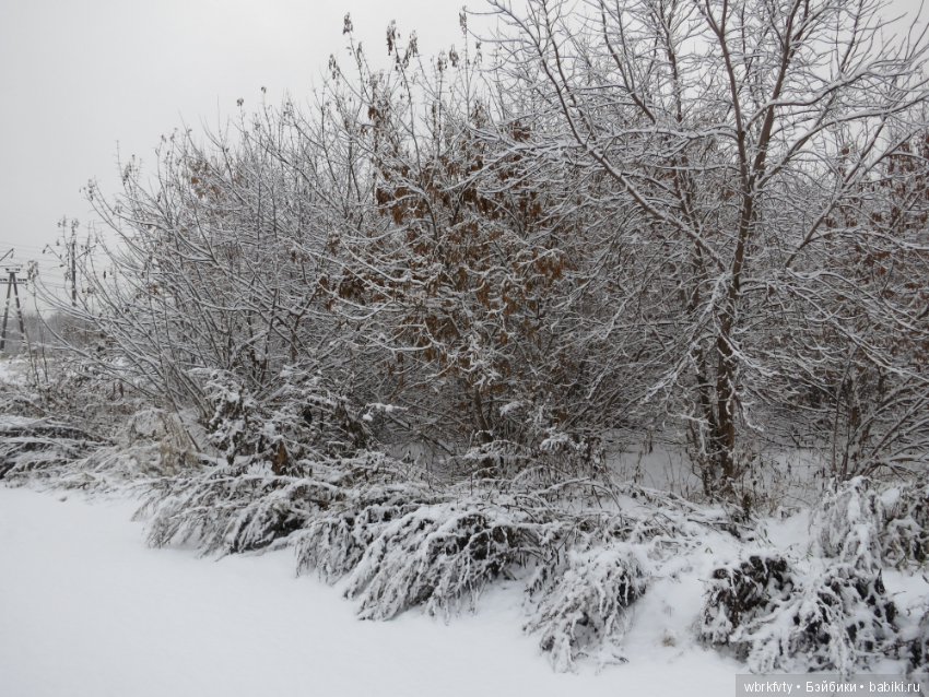 Зимняя сказка — Болталка и разговоры обо всем: жизнь (фото 10)