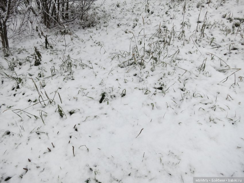 Зимняя сказка — Болталка и разговоры обо всем: жизнь (фото 3)