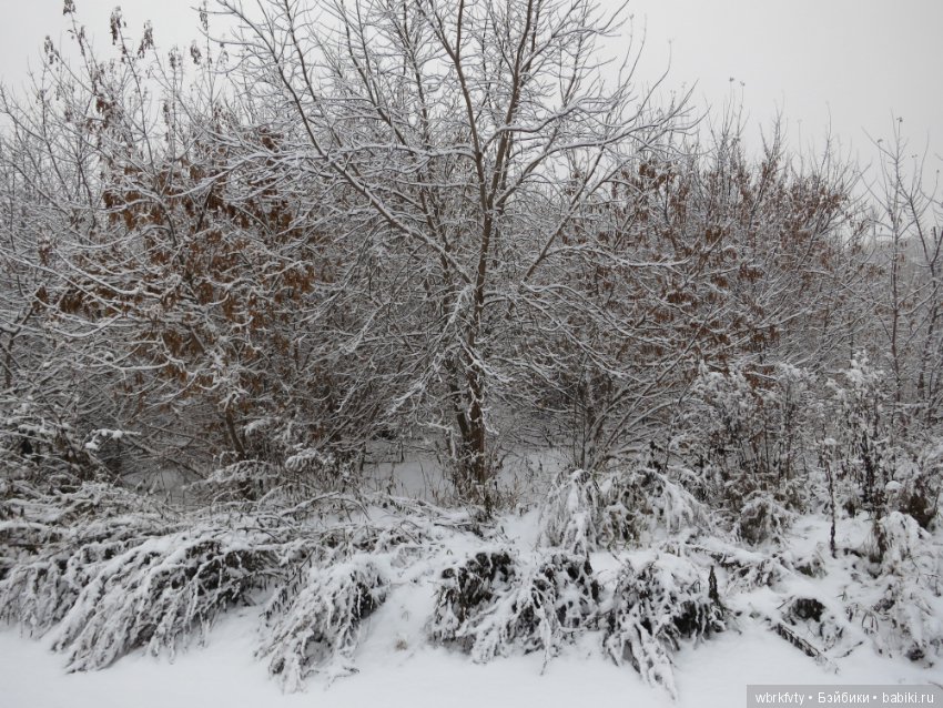 Зимняя сказка — Болталка и разговоры обо всем: жизнь (фото 9)