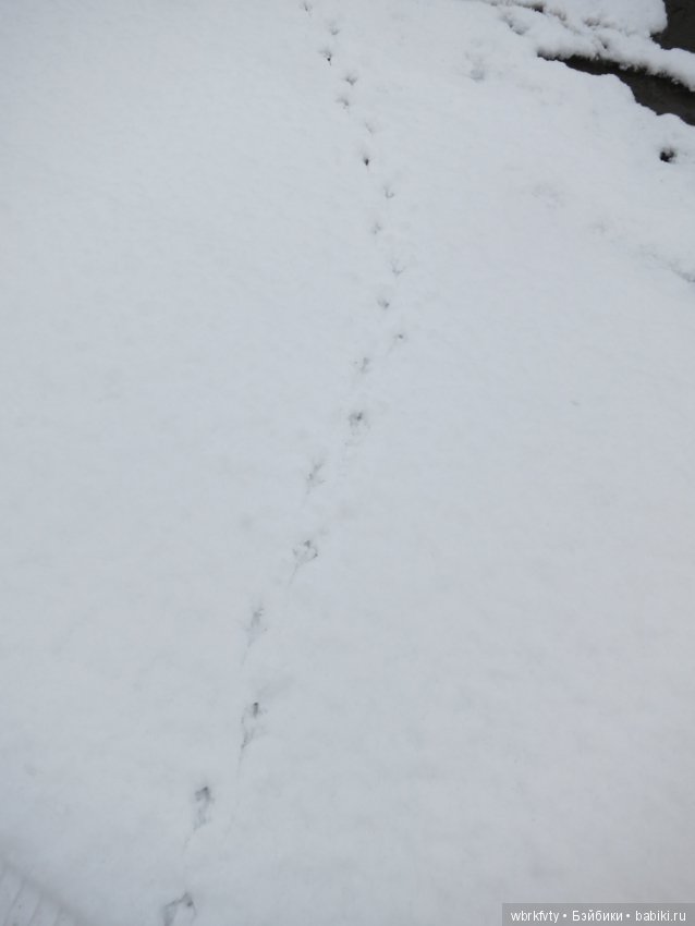 Зимняя сказка — Болталка и разговоры обо всем: жизнь (фото 7)