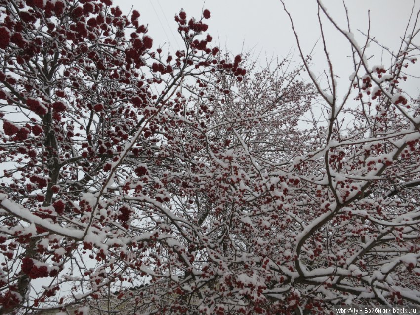 Зимняя сказка — Болталка и разговоры обо всем: жизнь (фото 2)