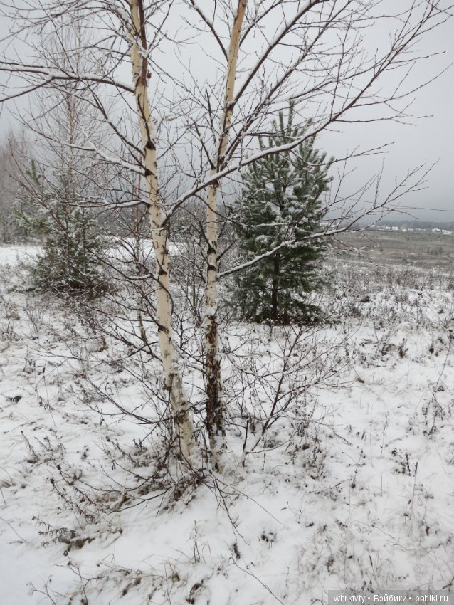 Зимняя сказка — Болталка и разговоры обо всем: жизнь