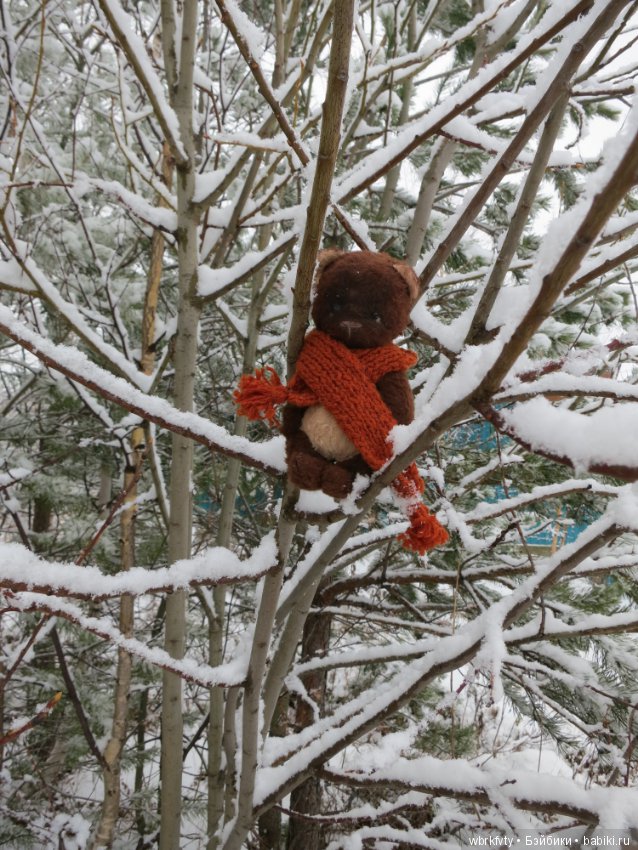 Зимняя сказка — Болталка и разговоры обо всем: жизнь