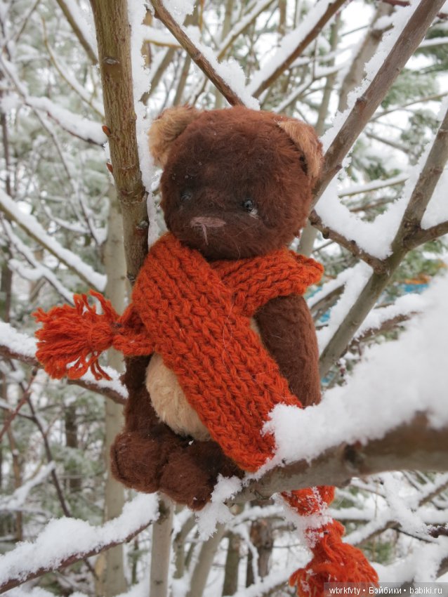 Зимняя сказка — Болталка и разговоры обо всем: жизнь