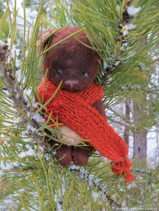 Зимняя сказка — Болталка и разговоры обо всем: жизнь