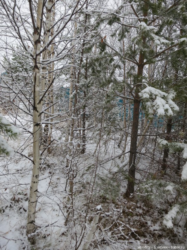 Зимняя сказка — Болталка и разговоры обо всем: жизнь