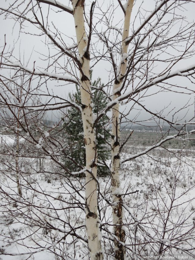 Зимняя сказка — Болталка и разговоры обо всем: жизнь