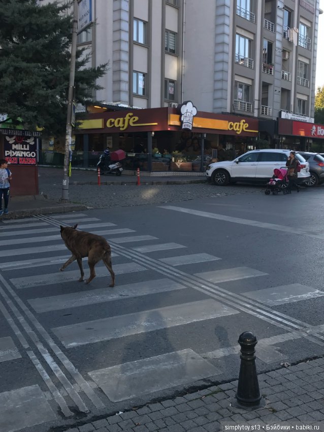 Луне в ноябре, как в сентябре тепло (фото 5)