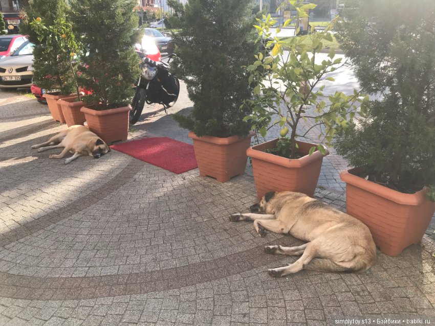 Луне в ноябре, как в сентябре тепло (фото 4)