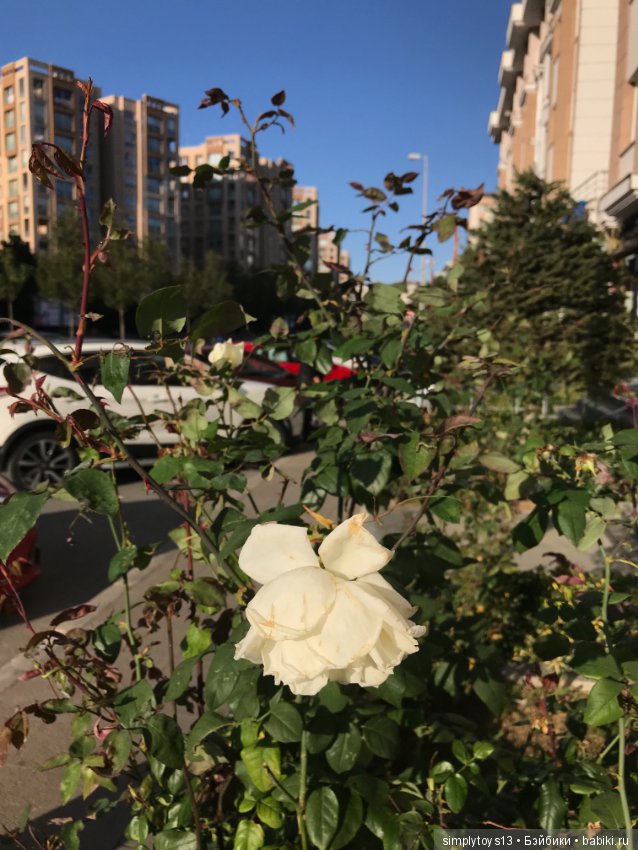 Луне в ноябре, как в сентябре тепло