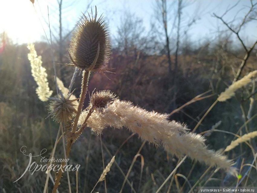 Осенняя прогулка на гору Собер-Баш