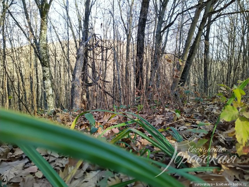 Осенняя прогулка на гору Собер-Баш