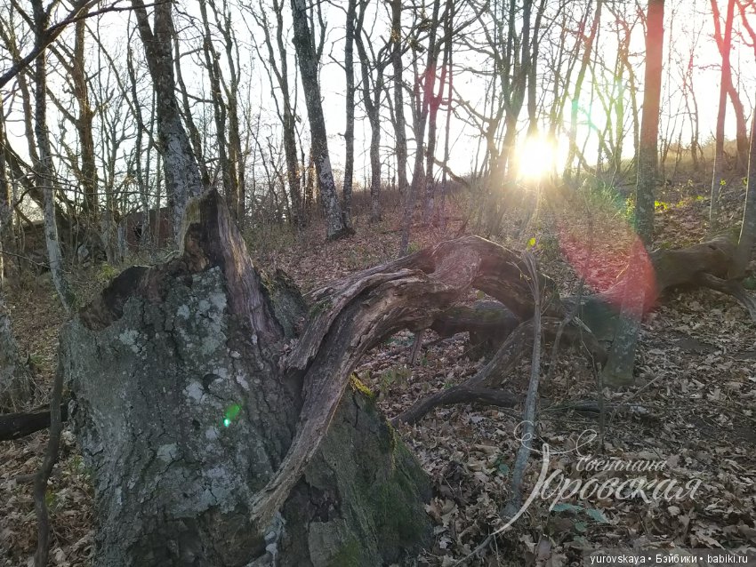 Осенняя прогулка на гору Собер-Баш (фото 8)