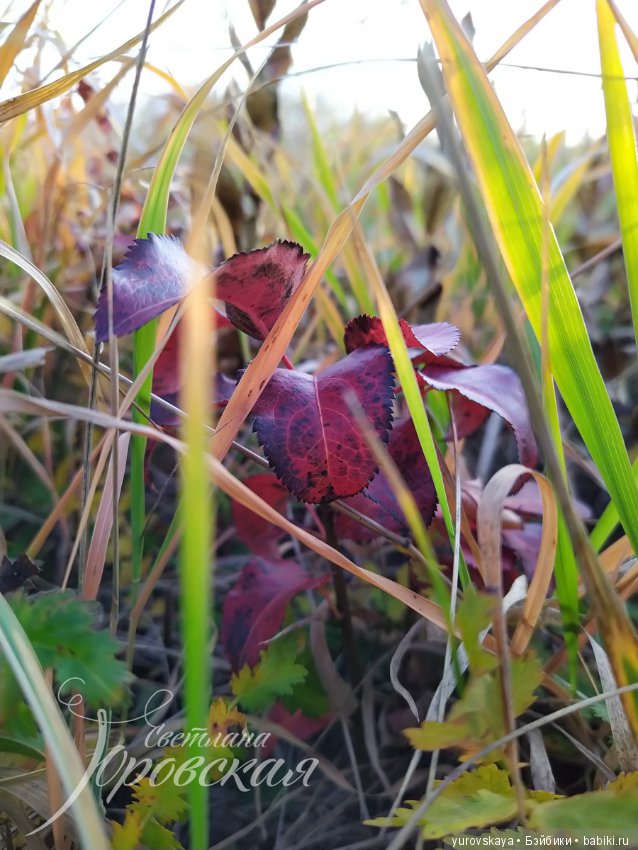 Осенняя прогулка на гору Собер-Баш