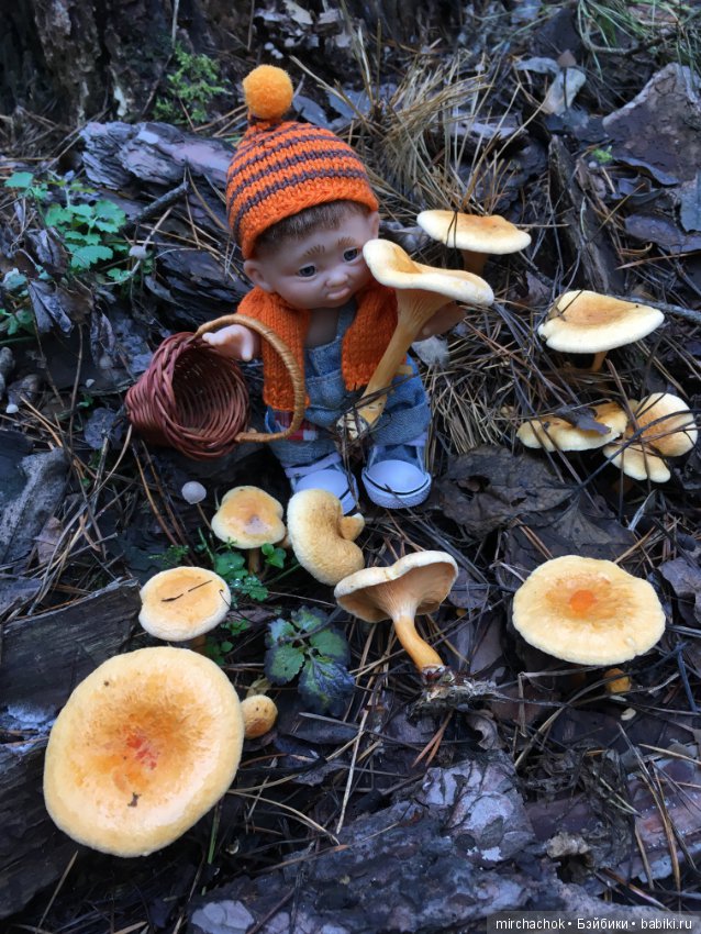 Зима с каждым днём всё ближе (фото 5)