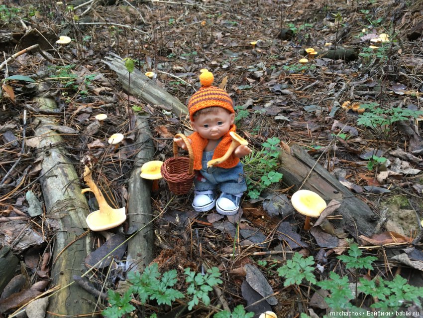 Зима с каждым днём всё ближе (фото 3)