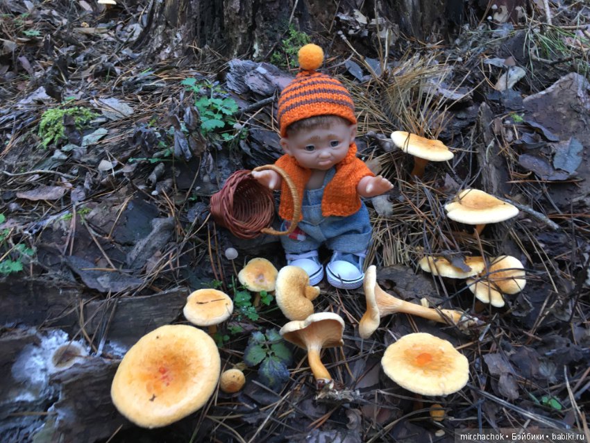 Зима с каждым днём всё ближе (фото 6)