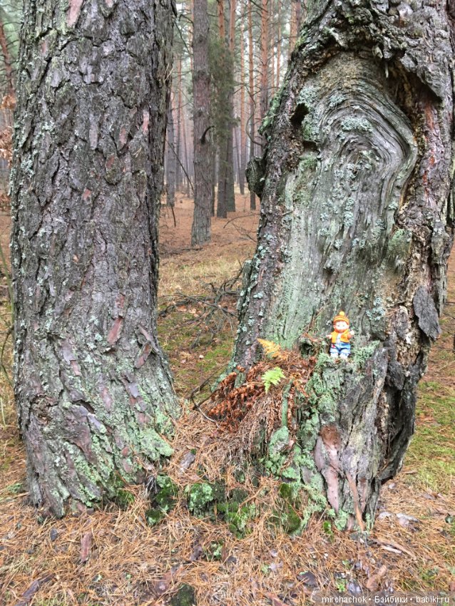 Осень не уходи — Куклы D'Anton Jos (Д'Антон Джос): характерные (фото 9)