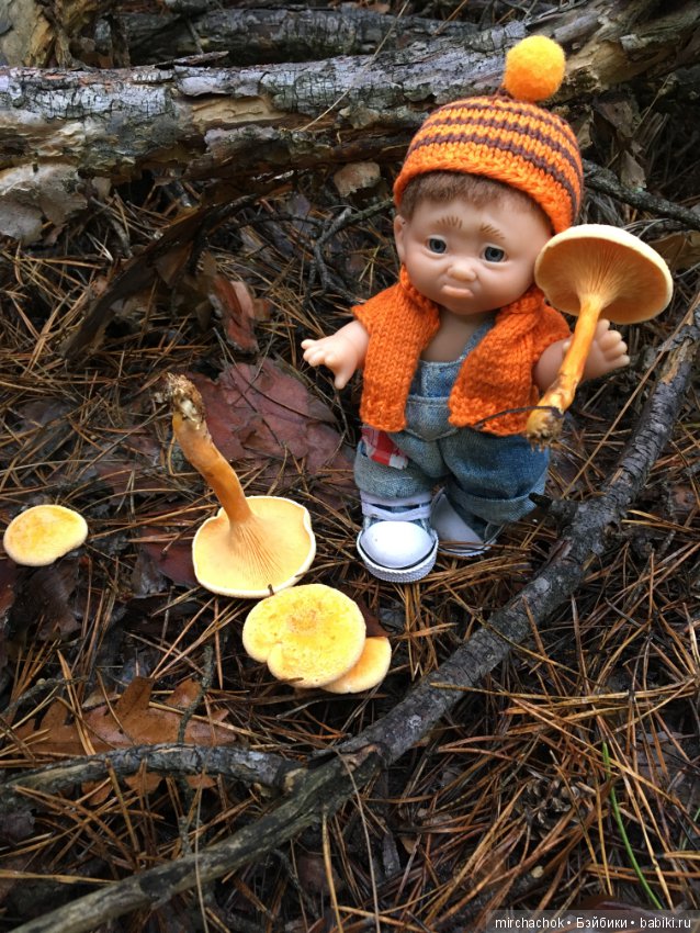 Осень не уходи — Куклы D'Anton Jos (Д'Антон Джос): характерные (фото 2)