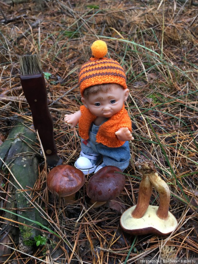 Осень не уходи — Куклы D'Anton Jos (Д'Антон Джос): характерные (фото 5)