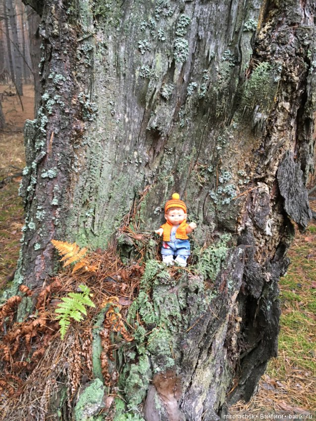 Осень не уходи — Куклы D'Anton Jos (Д'Антон Джос): характерные (фото 10)