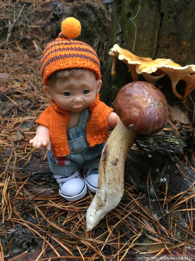 Осень не уходи — Куклы D'Anton Jos (Д'Антон Джос): характерные