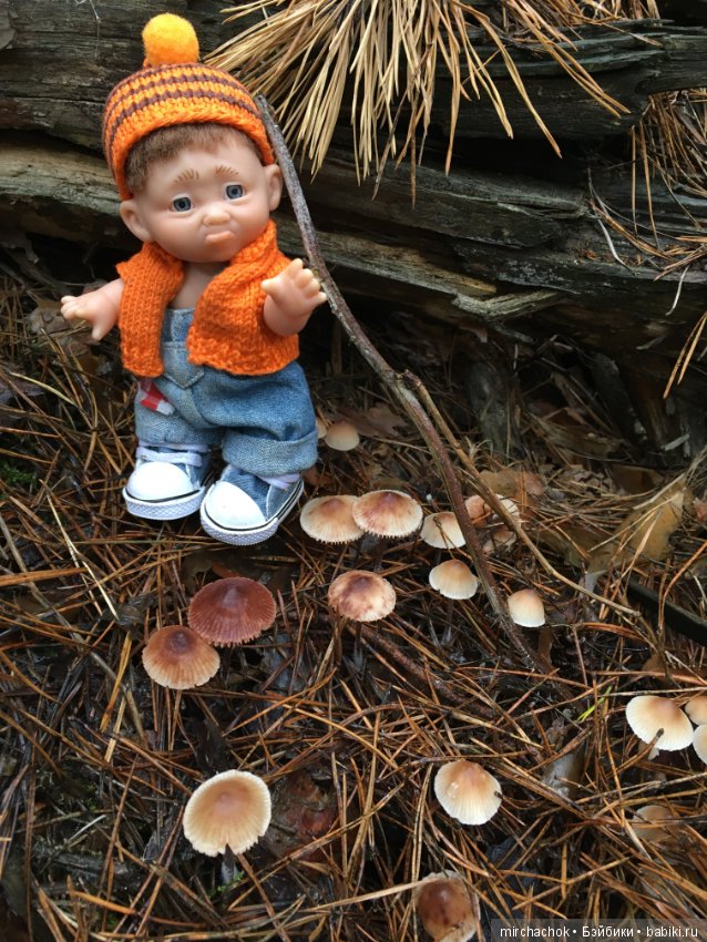 Осень не уходи — Куклы D'Anton Jos (Д'Антон Джос): характерные (фото 6)