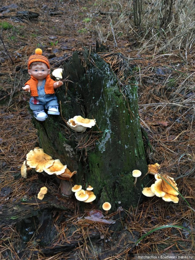 Осень не уходи — Куклы D'Anton Jos (Д'Антон Джос): характерные