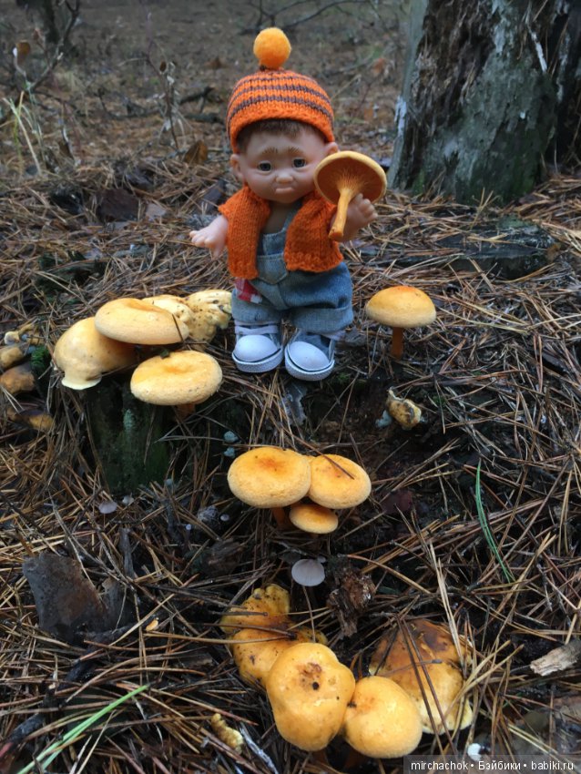 Осень не уходи — Куклы D'Anton Jos (Д'Антон Джос): характерные