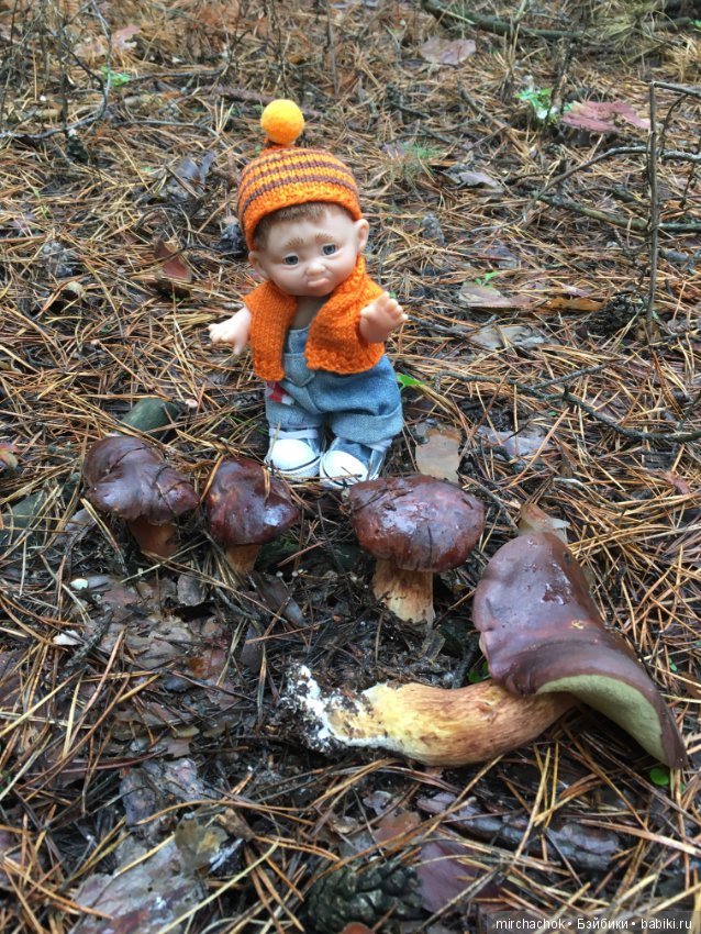 Осень не уходи — Куклы D'Anton Jos (Д'Антон Джос): характерные