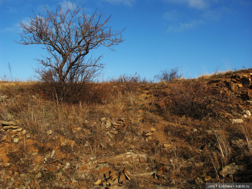Не всему еще жизнь научила (фото 3)