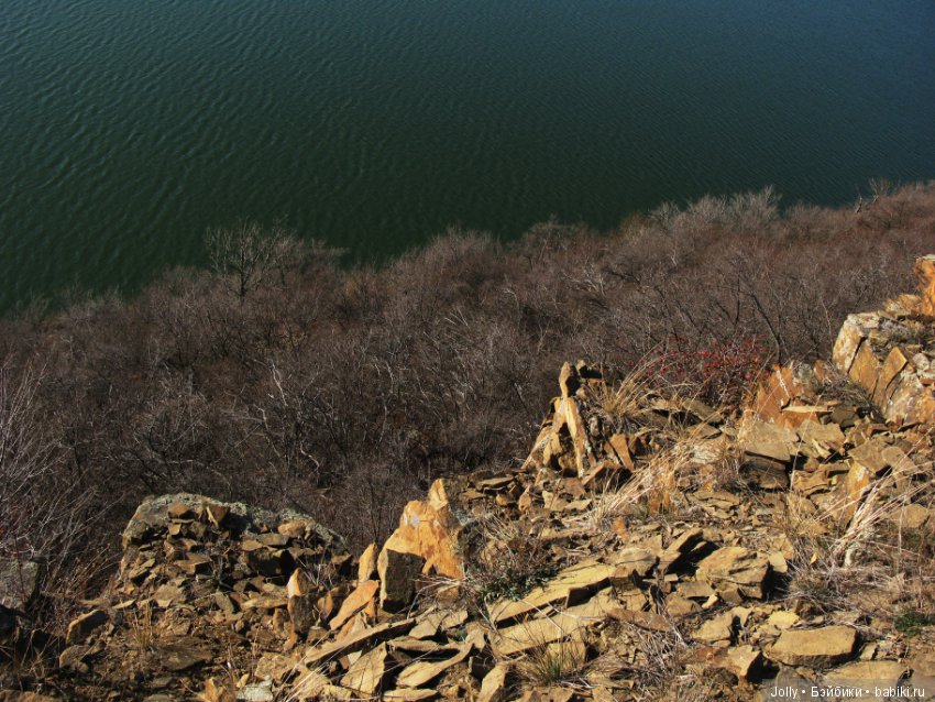 Не всему еще жизнь научила (фото 4)