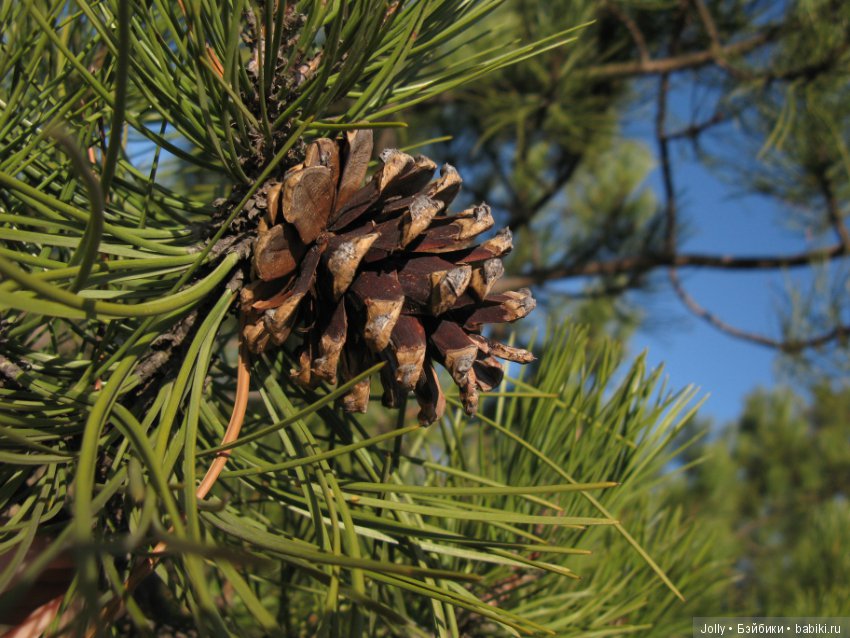 Не всему еще жизнь научила (фото 9)