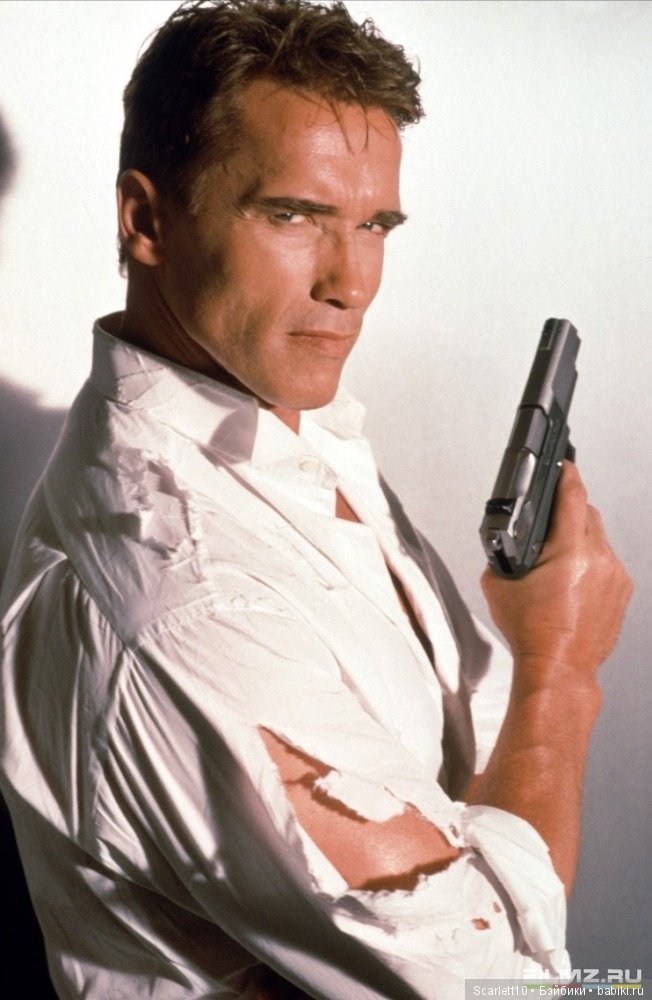 Арнольд Шварценеггер - истрия успеха "Железного Арни" (фото 3)