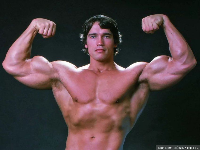 Арнольд Шварценеггер - истрия успеха "Железного Арни"