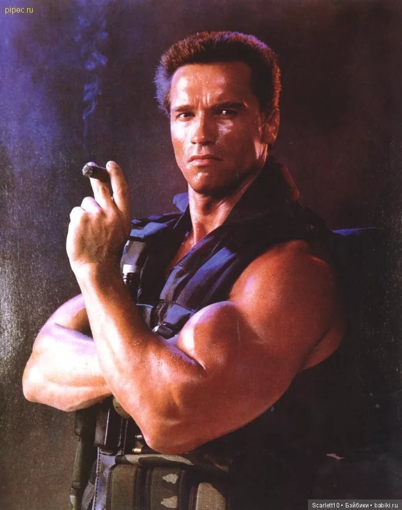 Арнольд Шварценеггер - истрия успеха "Железного Арни"