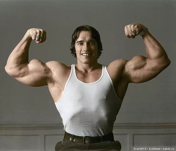 Арнольд Шварценеггер - истрия успеха "Железного Арни"