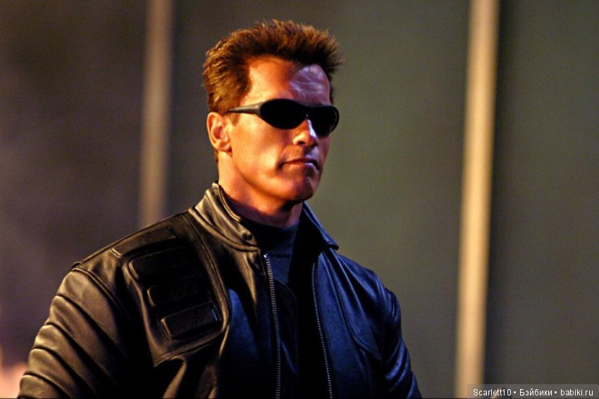 Арнольд Шварценеггер - истрия успеха "Железного Арни" (фото 8)