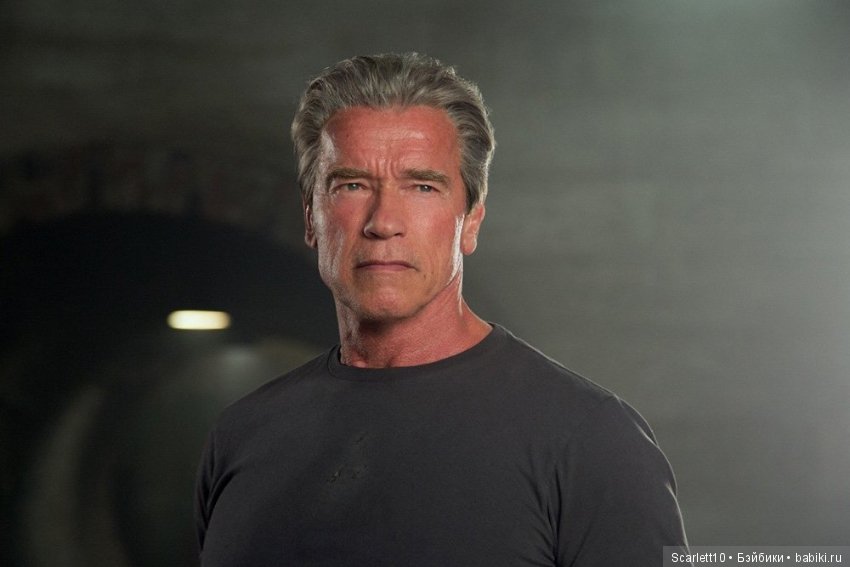 Арнольд Шварценеггер - истрия успеха "Железного Арни"