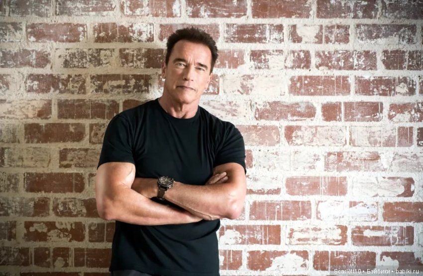 Арнольд Шварценеггер - истрия успеха "Железного Арни"