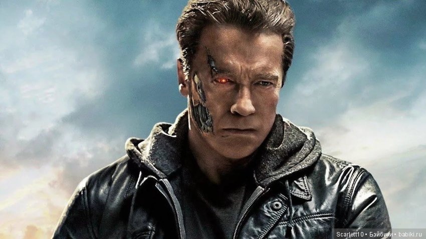 Арнольд Шварценеггер - истрия успеха "Железного Арни" (фото 10)