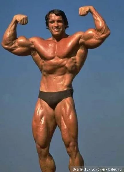 Арнольд Шварценеггер - истрия успеха "Железного Арни"