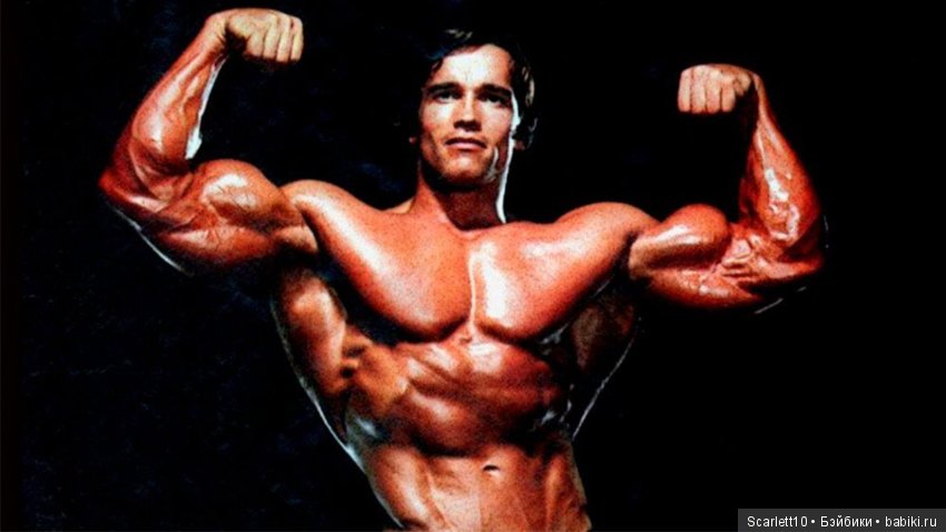 Арнольд Шварценеггер - истрия успеха "Железного Арни"