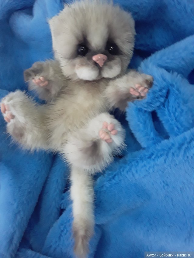 Новогодний котёнок — Авторские мишки Тедди и друзья: фото