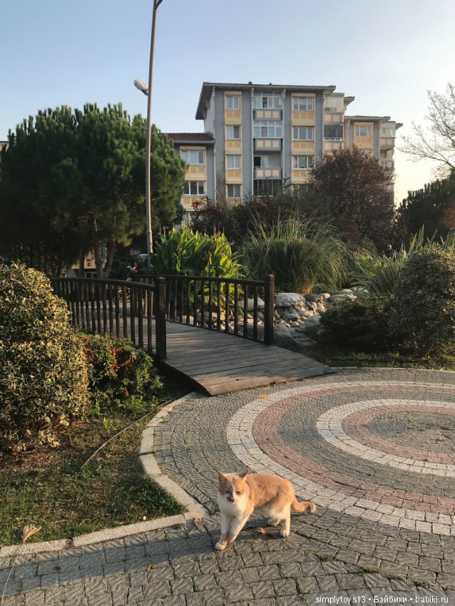 Путешествие Лиу — Туризм и путешествия: фотоотчеты из поездок (фото 10)