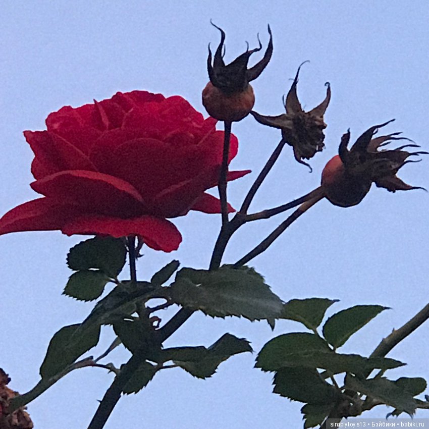 Путешествие Лиу — Туризм и путешествия: фотоотчеты из поездок